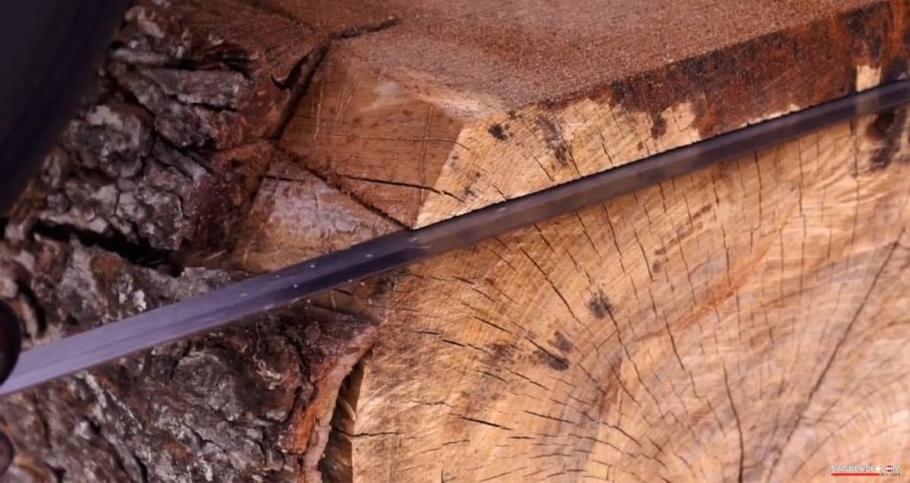 QSaw 905 Portable Sawmill Blade Cutting Pecan on a Band Sawmill